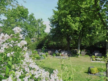 Friedhof Otze (2)&nbsp;&copy;&nbsp;Stadt Burgdorf