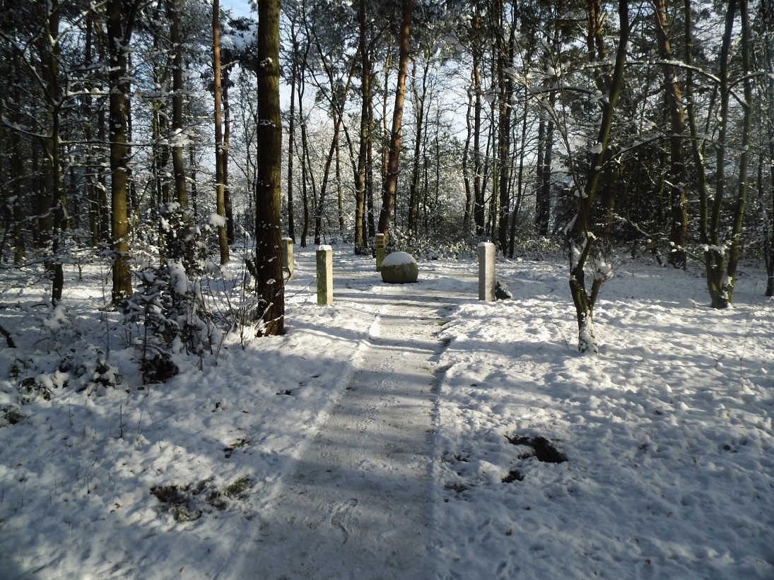 Ruhe Hain auf dem Stadtfriedhof Niedersachsenring im Winter